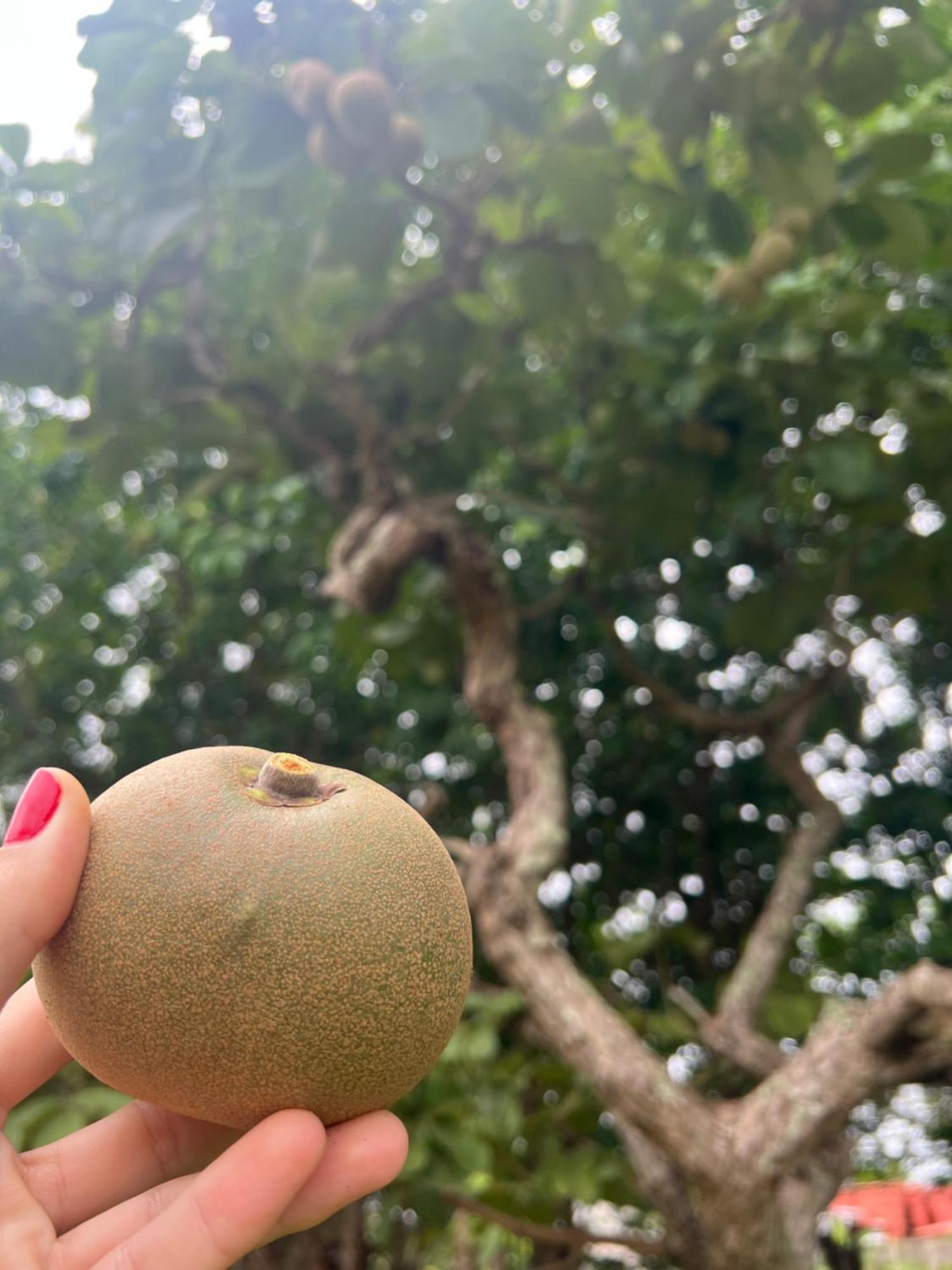 Pousada Ceres 32 Chapada dos Guimarães Eksteriør billede